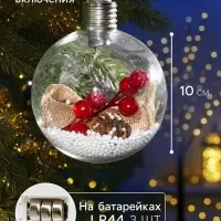 Набор ёлочных шаров &laquo;Ветка ели и ягоды&raquo;, 2 шт., d=10 см, 5 LED, от батареек, свечение тёплое белое