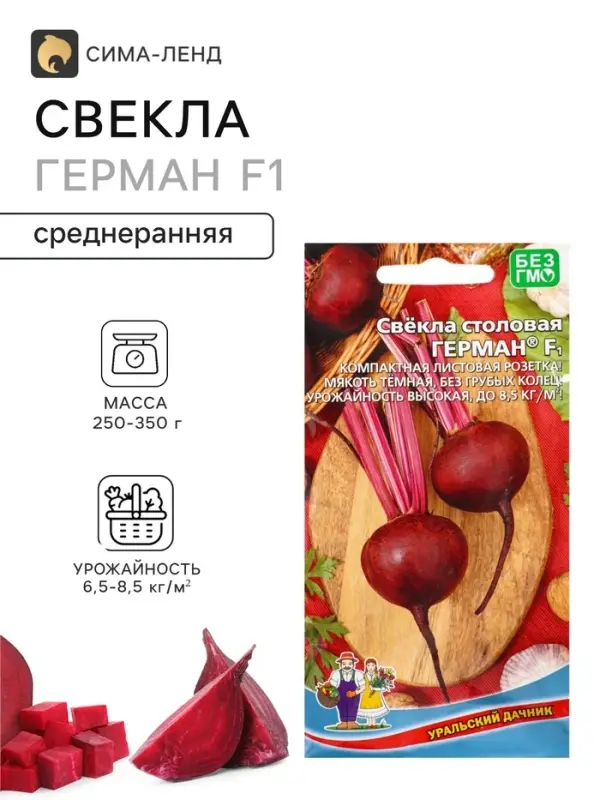 Семена Свекла столовая &laquo;Герман&raquo; F1, 2 г