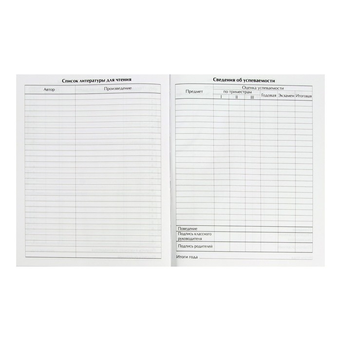 Дневник школьный для 1-11 классов, «Девочка со скейтом», твёрдая обложка 7БЦ, глянцевая ламинация, 40 листов Дневник школьный для 1-11 классов, «Девочка со скейтом», твёрдая обложка 7БЦ, глянцевая ламинация, 40 листов