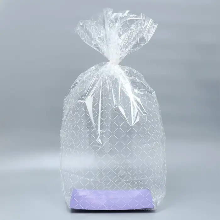 Пакет подарочный с жёстким дном, упаковка, &laquo;Линии&raquo;, 22 х 28 х 80 см