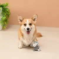 VETTA Игрушка для домашних животных, хлопок, ПЭ, 11,5х6 см