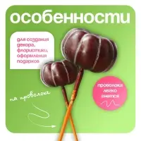 Топпер для творчества &laquo;Тыковка&raquo;, 10 шт., 4&times;2 см