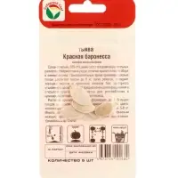 Семена Тыква Красная баронесса 5шт