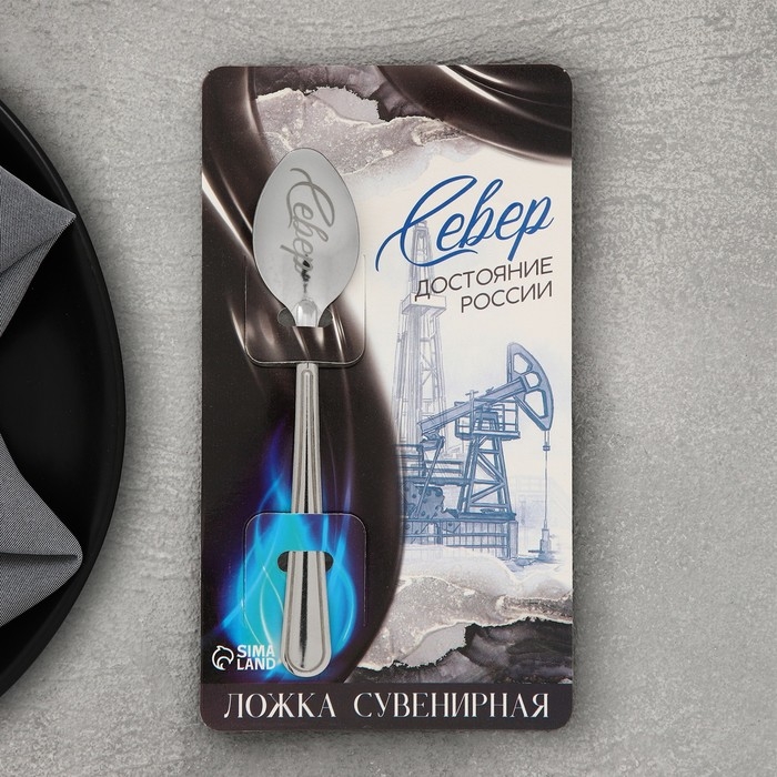 Ложка сувенирная &laquo;Север&raquo;, с гравировкой, 3 х 14 см
