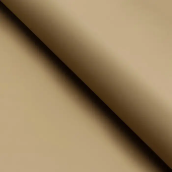 Пленка для цветов тонированная, матовая, темная олива, 57×57 см ±5% см, 65 мкм Пленка для цветов тонированная, матовая, темная олива, 57×57 см ±5% см, 65 мкм