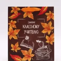 Набор  ламинированных вертикальных пакетов &laquo;Учитель года&raquo;, 3 шт, ML 27 &times; 23 &times; 11,5 см