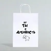 Пакет подарочный «Ну ты и древность», 24×10×32 см 1 шт.