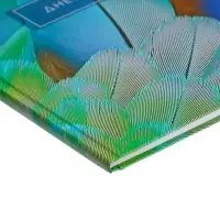 Дневник для 5-11 классов, "Перья 2", твердая обложка 7БЦ, матовая ламинация, выборочный лак, 48 листов