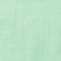 Салфетки бумажные Luscan Profi Pack 1сл24х24пастель салатовые 400 шт/уп