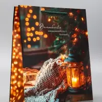 Пакет подарочный новогодний ламинированный, «Домашний уют Новыго Года» , 26×12×32 см Пакет подарочный новогодний ламинированный, «Домашний уют Новыго Года» , 26×12×32 см