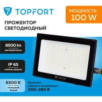 Прожектор светодиодный Topfort LED FL 100W 6500K IP65