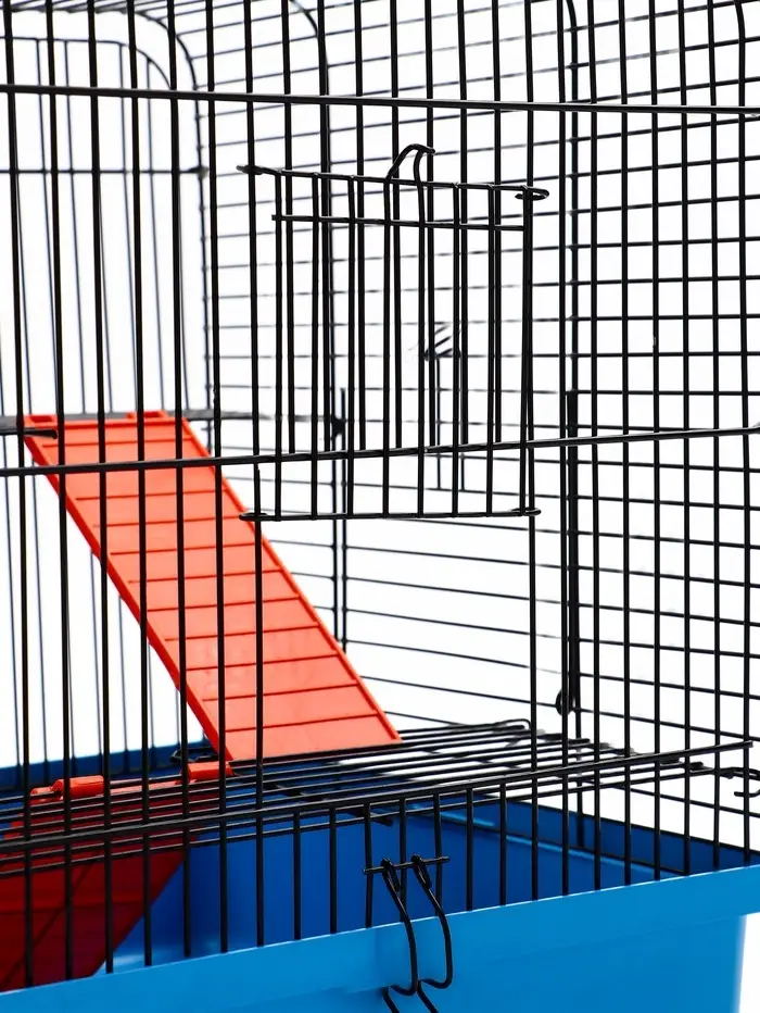 Клетка для грызунов "Мини" двухярусная, 29 x 25 х 32 см, синий Клетка для грызунов "Мини" двухярусная, 29 x 25 х 32 см, синий