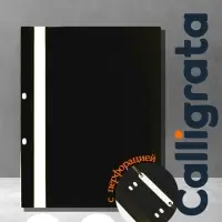 Папка-скоросшиватель с перфорацией Calligrata, А4, 180 мкм, черная с прозр.верхом