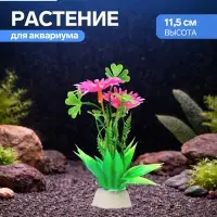 Растение для аквариума и террариума, 11.5 см