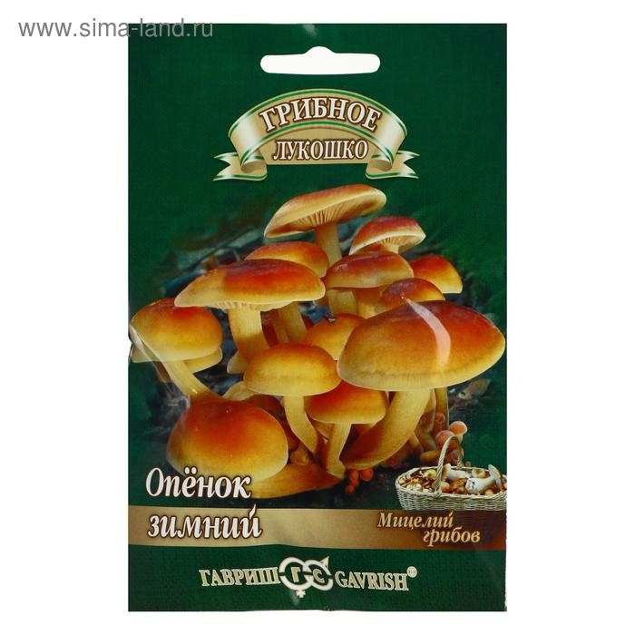 Семена Мицелий Семена Мицелий "Опенок зимний", на древесном носителе, 12 шт