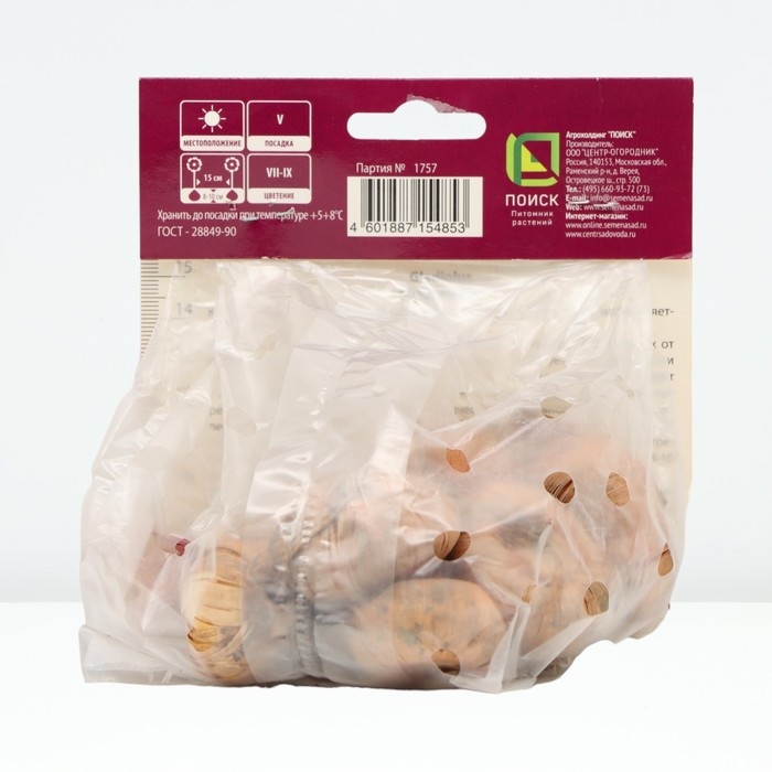 Гладиолус крупноцветковый «Питер Пирс », луковица цветов в пакете с перфорацией, р-р 10/12, 10 шт.