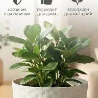 Горшок для цветов с поддоном &laquo;Ротанг&raquo;, 3 л, d=17 см, h=17 см, пластиковый, белый