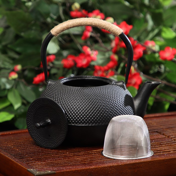 Чайник для плиты чугунный Доляна «Восточная ночь», 1,6 л, с ситом, цвет чёрный Чайник для плиты чугунный Доляна «Восточная ночь», 1,6 л, с ситом, цвет чёрный