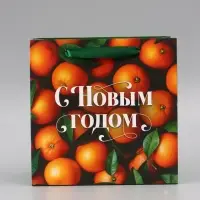 Пакет подарочный &laquo;С Новым годом&raquo;, мандарины, 22&times;22&times;11 см