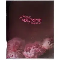 Тетрадь 96 листов в клетку Calligrata &laquo;Светотень&raquo;, блок №2, серые листы, обложка МИКС