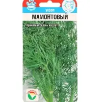 Семена Укроп "Мамонтовый", 1 г