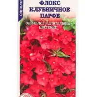 Семена Флокс Клубничное Парфе /Сотка/ 0,1 г /*1500