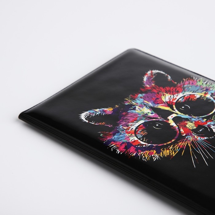 Обложка для паспорта, цвет чёрный Обложка для паспорта, цвет чёрный