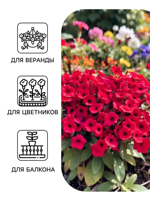 Семена цветов Петуния каскадная &laquo;Тайдал Вейв Парпл&raquo; 5 шт.