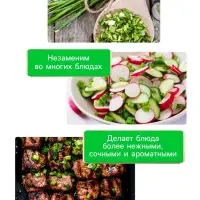 Семена Лук-батун &laquo;Русский зимний&raquo;, 0.5 г, многолетник, &laquo;Рецепты дедушки Никиты&raquo;