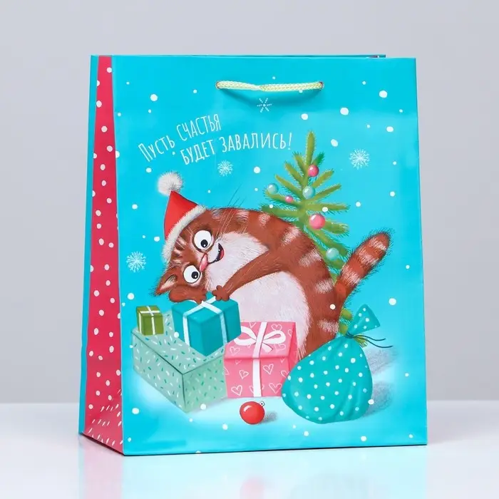 Пакет подарочный «Кот в подарках», 18×22.3×10 см