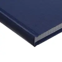 Книга учета А4 192л Бумвинил Офсет клетка, синий