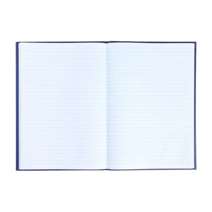 Книга учета А4, 96 листов, линия, 200&times;290 мм, обложка бумвинил, синий, блок офсетный