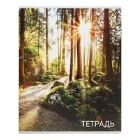 Тетрадь 96 листов, в клетку, Calligrata &laquo;Природа&raquo;, серые листы, МИКС
