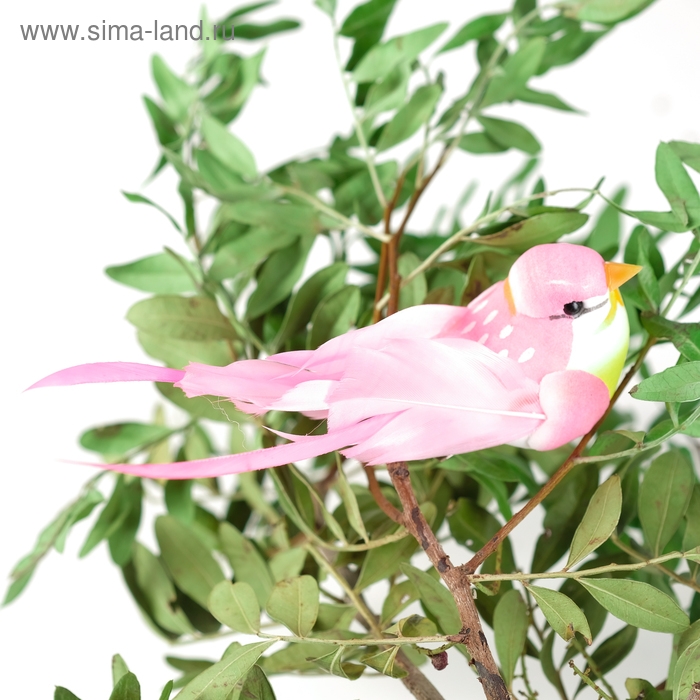 Птичка для декора и флористики, на прищепке, МИКС, пластиковая, 1шт., 8 х 8 см Птичка для декора и флористики, на прищепке, МИКС, пластиковая, 1шт., 8 х 8 см