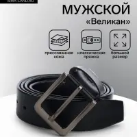 Ремень мужской &laquo;Великан&raquo; для полных, ширина 3.8 см, винт, пряжка металл, чёрный