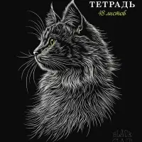 Тетрадь 48л А5ф клетка 60-65г/кв.м на скобе Обл. мел.картон мат.ламин. 3D лак МИКС
