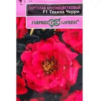 Семена цветов Портулак Текила Черри F1* 5 шт. серия Элитная клумба