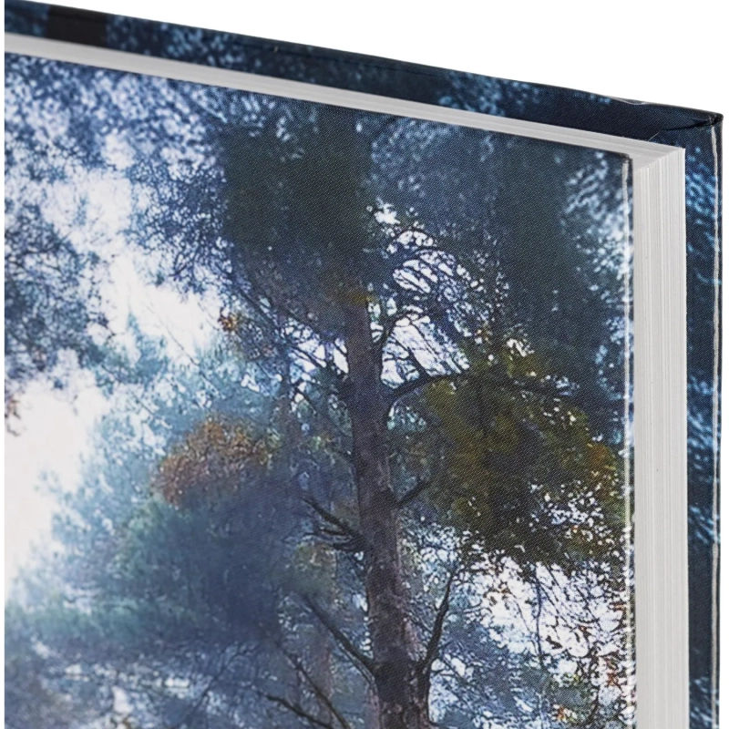 Ежедневник недатированный 7БЦ, пленка глянц., А5,128л, Выбор есть, Тайга