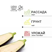Семена Баклажан &laquo;Белый Бим чёрное ухо&raquo;, смесь, 0.1 г, &laquo;Аэлита&raquo;