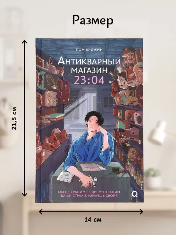 Книга &laquo;Антикварный магазин 23:04&raquo;, Пом Ю Джин