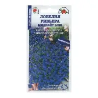Семена цветов Лобелия Ривьера «Миднайт Блу», 10 шт.