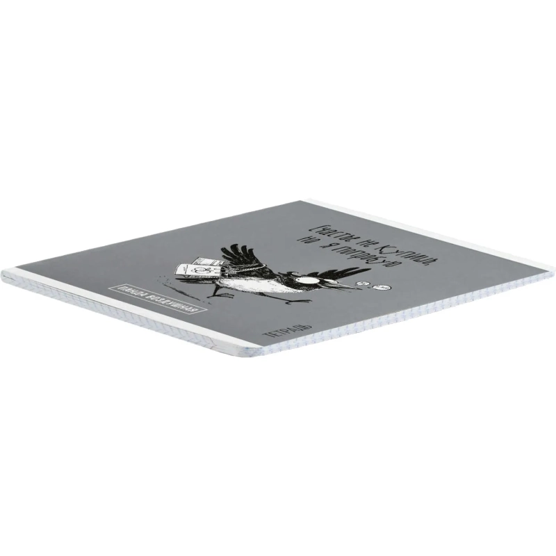 Тетрадь 48 л, клетка  ПАНДА-ВАЙБ А5+, а ассорт/70928