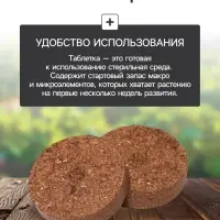 Набор для рассады: торфяная таблетка d=4.1 см, 24 шт., кассета на 24 ячейки по 40 мл, поддон 35.5&times;22.5 см, зелёный, пластик, Экоторф