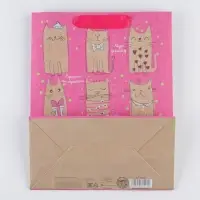 Пакет подарочный крафтовый, упаковка, &laquo;Милые котики&raquo;, ML 23&times;27&times;8 см