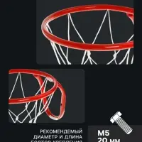 Корзина баскетбольная №5, d=380 мм, с сеткой