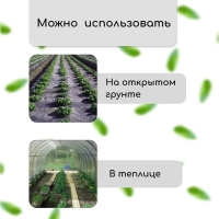 Полоса защитная для междурядий, 5 × 0,3, плотность 80 г/м², спанбонд с УФ-стабилизатором, чёрная, Greengo, Эконом 30%