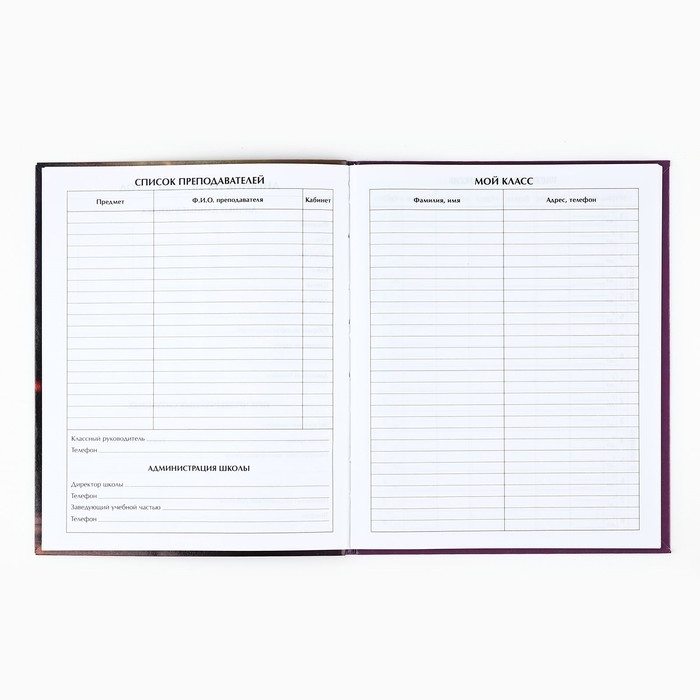 Дневник школьный для 1-11 класса, в интегральной обложке, 40 л. «1 сентября:Котёнок балерина» Дневник школьный для 1-11 класса, в интегральной обложке, 40 л. «1 сентября:Котёнок балерина»