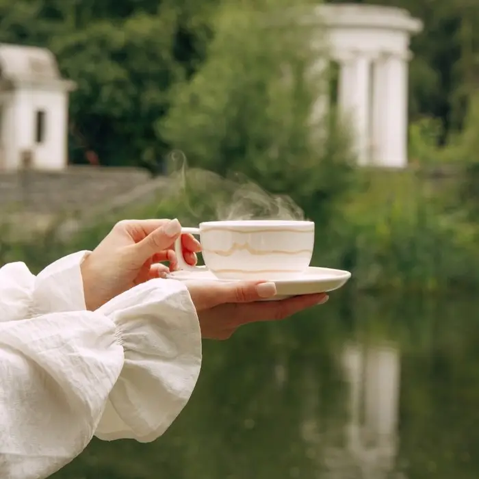 Чайная пара SL Home &laquo;Гато&raquo;, 270 мл, фарфор, белая