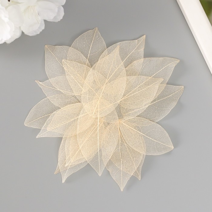 Листья скелетированные для творчества "Телесные" набор 20 шт h=6-6,5 см