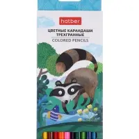 Карандаши 12цв, Hatber, заточ, трехгр,  коробка, европодвес 63837